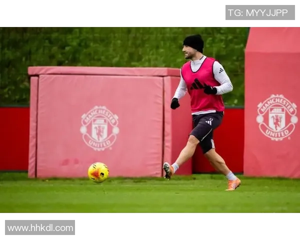 查内尔与安特卫普的较量分析与战术解读全面解析