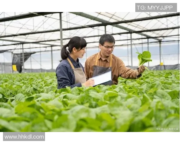 棉农与波斯波利的对比分析探讨农业与体育的相互影响与发展潜力