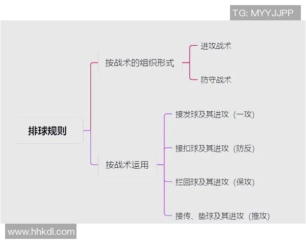 北京排球队的速度革命引发热议全新战术与训练方法的探索与实践MBA