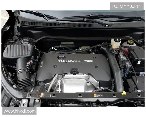 马德拉与艾维斯的较量谁能在这场对决中笑到最后