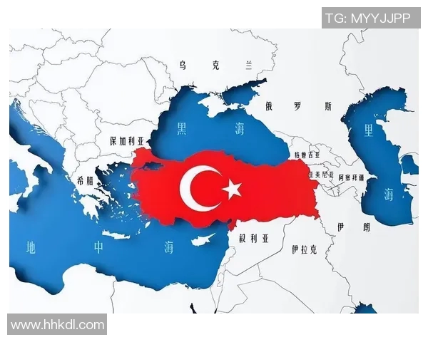法国与土耳其最新动态分析及两国关系发展趋势探讨 法国与土耳其最新动态分析及两国关系发展趋势探讨