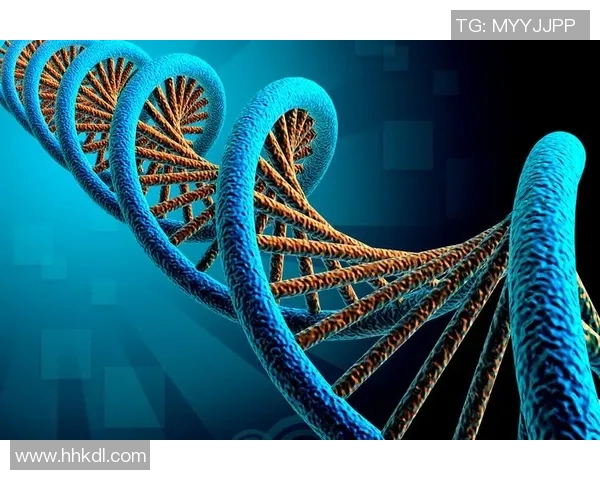 欧塞尔与克维伊对决分析及双方近期状态评估